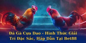 da-ga-cua-dao-avt
