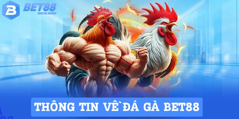 Đá gà Bet88 và những thông tin khái quát 