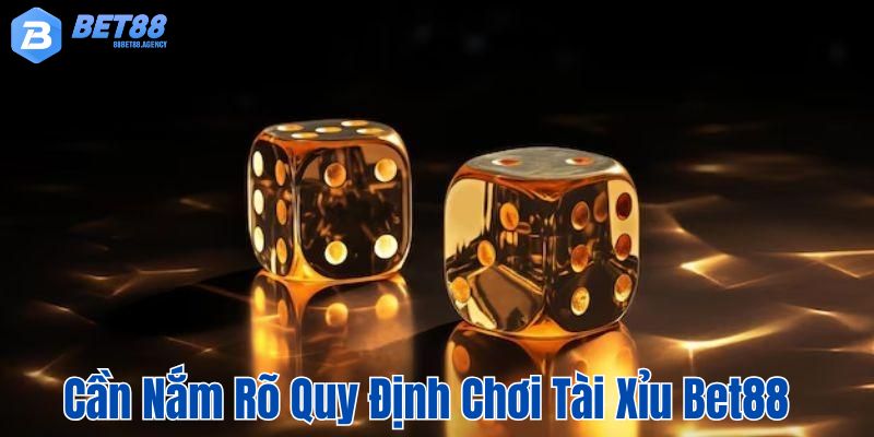 Người chơi cần nắm rõ các quy định để có trải nghiệm chơi mượt mà.